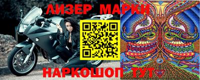 стафф Кингисепп