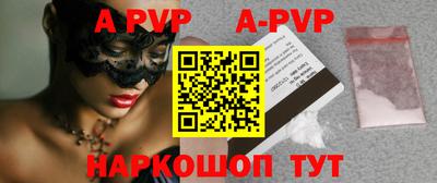 стафф Кингисепп