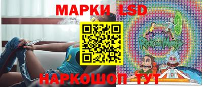 стафф Кингисепп