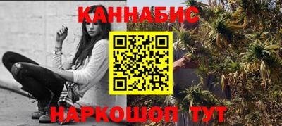 стафф Кингисепп