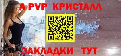 стафф Кингисепп