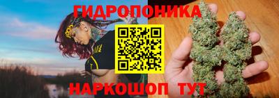 мяу мяу мука Кимры