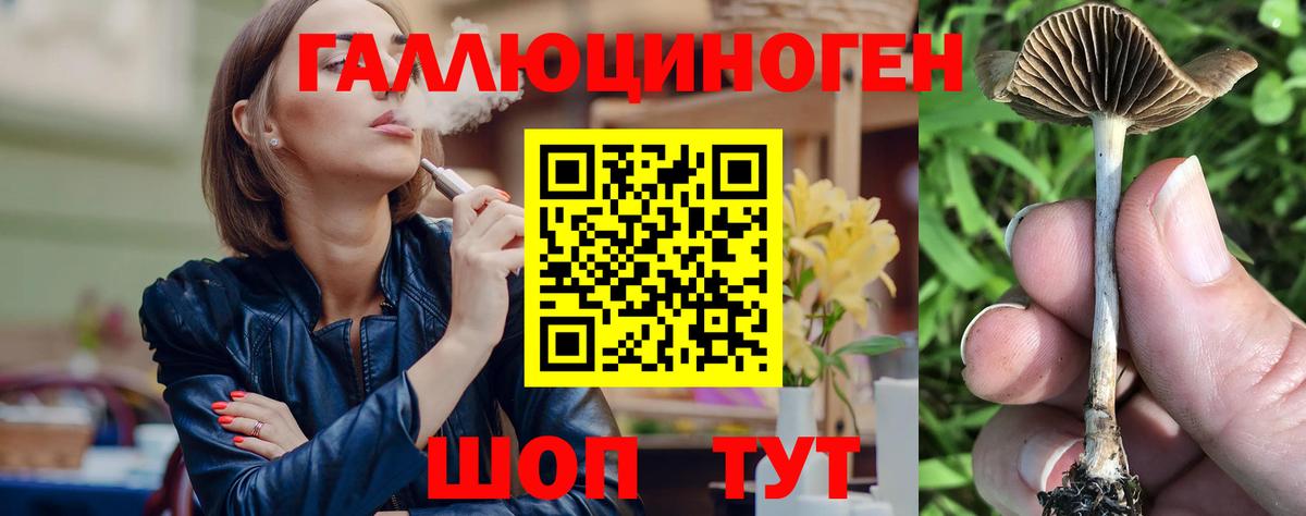 Люберцы  купить   Вход с VPN  Галлюциногенные грибы мицелий 
